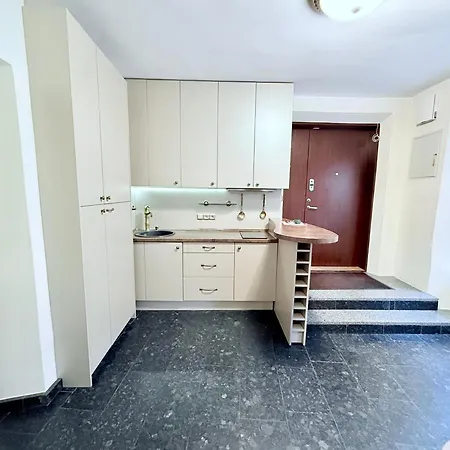 Apartment Pilies8 Luxury *