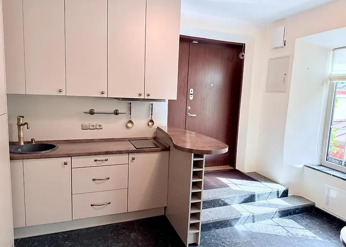 Διαμέρισμα Pilies8 Luxury Βίλνιους